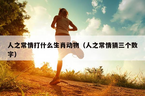 人之常情打什么生肖动物（人之常情猜三个数字）