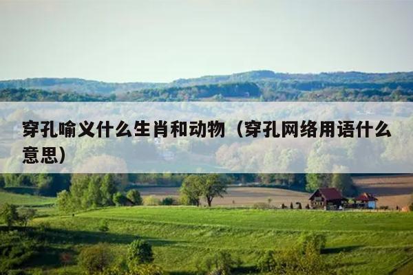 穿孔喻义什么生肖和动物（穿孔网络用语什么意思）