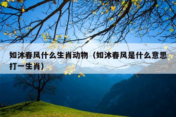 如沐春风什么生肖动物（如沐春风是什么意思打一生肖）