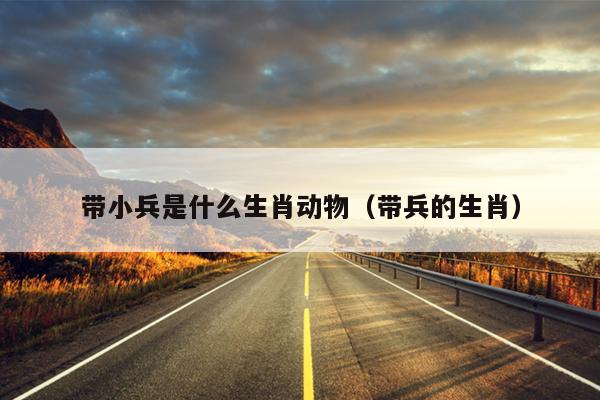带小兵是什么生肖动物（带兵的生肖）