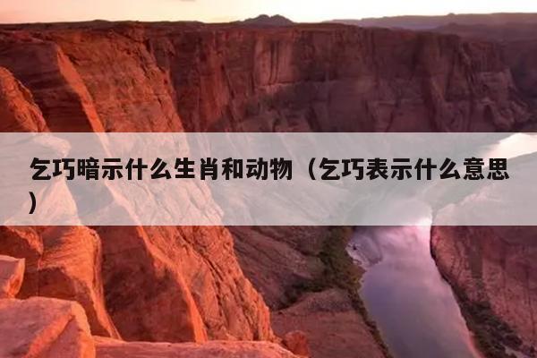 乞巧暗示什么生肖和动物（乞巧表示什么意思）