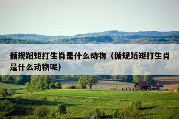 循规蹈矩打生肖是什么动物（循规蹈矩打生肖是什么动物呢）