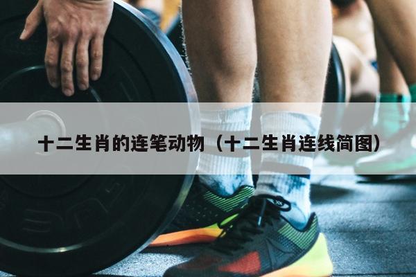 十二生肖的连笔动物（十二生肖连线简图）