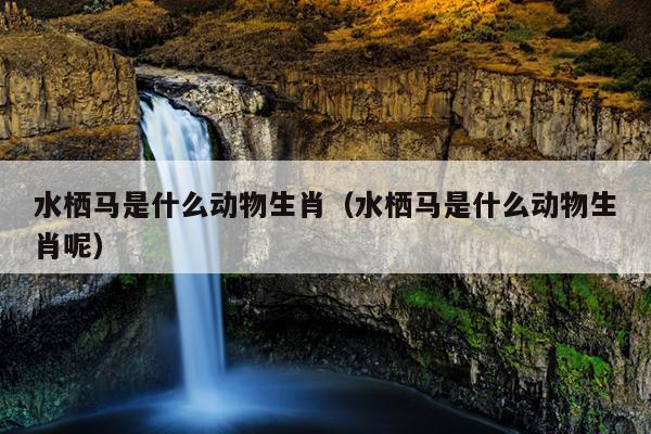 水栖马是什么动物生肖（水栖马是什么动物生肖呢）