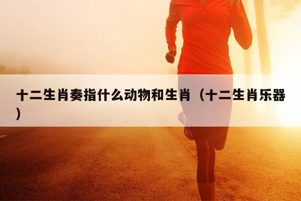 十二生肖奏指什么动物和生肖（十二生肖乐器）
