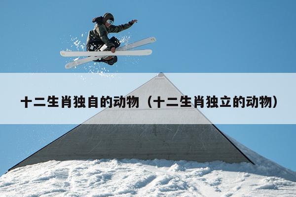 十二生肖独自的动物（十二生肖独立的动物）