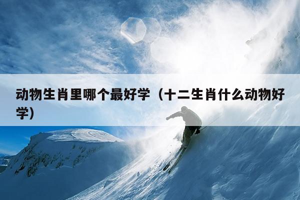 动物生肖里哪个最好学（十二生肖什么动物好学）
