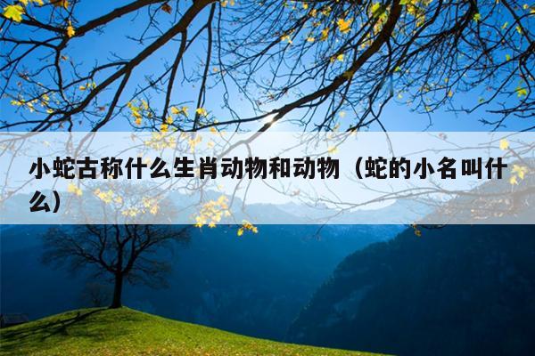 小蛇古称什么生肖动物和动物（蛇的小名叫什么）