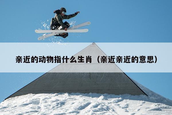 亲近的动物指什么生肖（亲近亲近的意思）