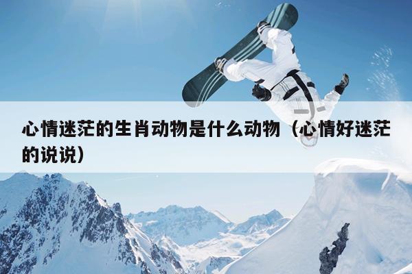 心情迷茫的生肖动物是什么动物（心情好迷茫的说说）