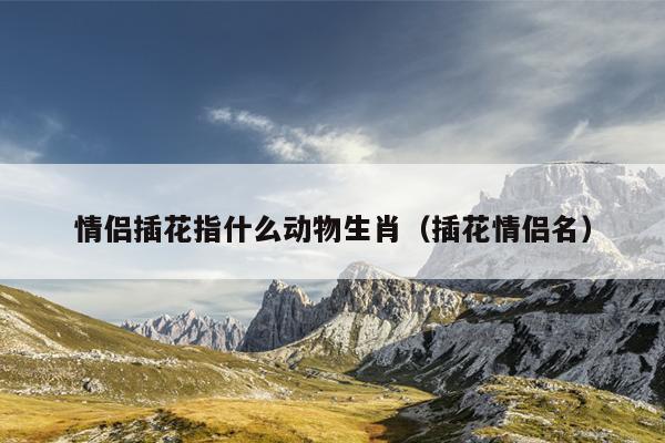 情侣插花指什么动物生肖（插花情侣名）