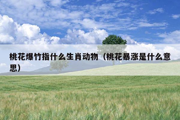 桃花爆竹指什么生肖动物（桃花暴涨是什么意思）