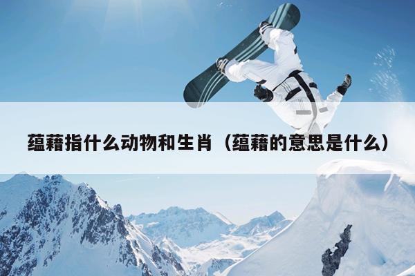 蕴藉指什么动物和生肖（蕴藉的意思是什么）