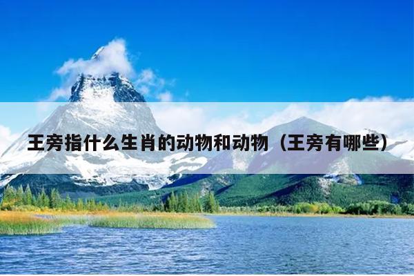 王旁指什么生肖的动物和动物（王旁有哪些）