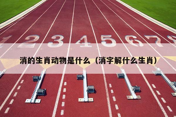 消的生肖动物是什么（消字解什么生肖）