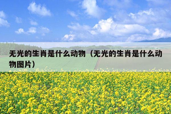 无光的生肖是什么动物（无光的生肖是什么动物图片）