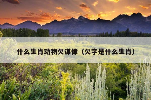 什么生肖动物欠谋律（欠字是什么生肖）