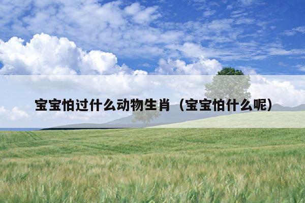 宝宝怕过什么动物生肖（宝宝怕什么呢）