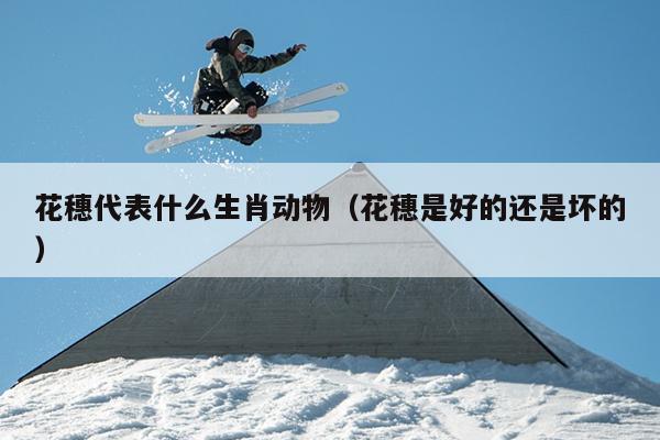 花穗代表什么生肖动物（花穗是好的还是坏的）