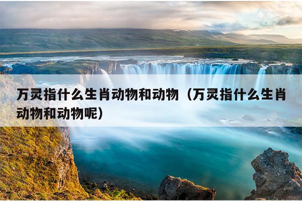 万灵指什么生肖动物和动物（万灵指什么生肖动物和动物呢）
