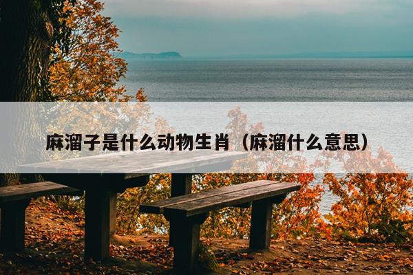 麻溜子是什么动物生肖（麻溜什么意思）