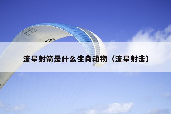 流星射箭是什么生肖动物（流星射击）