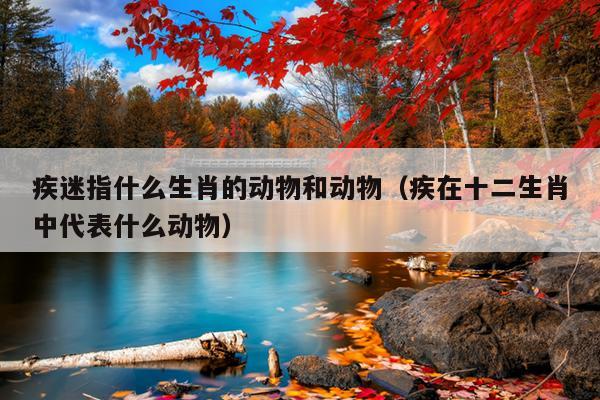 疾迷指什么生肖的动物和动物（疾在十二生肖中代表什么动物）