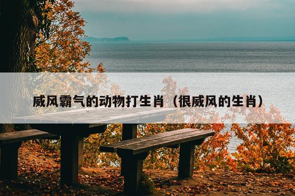 威风霸气的动物打生肖（很威风的生肖）