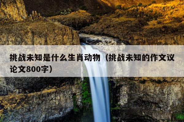 挑战未知是什么生肖动物（挑战未知的作文议论文800字）