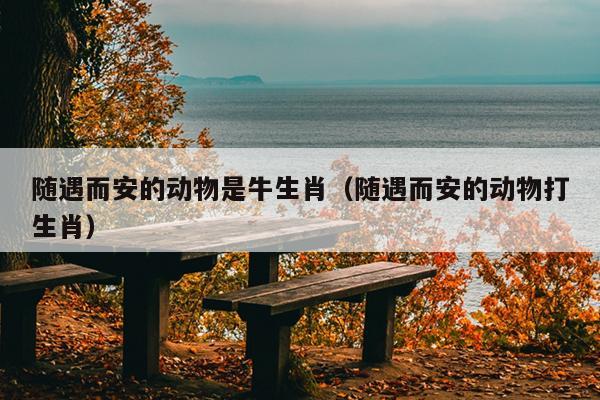 随遇而安的动物是牛生肖（随遇而安的动物打生肖）