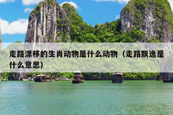 走路漂移的生肖动物是什么动物（走路飘逸是什么意思）