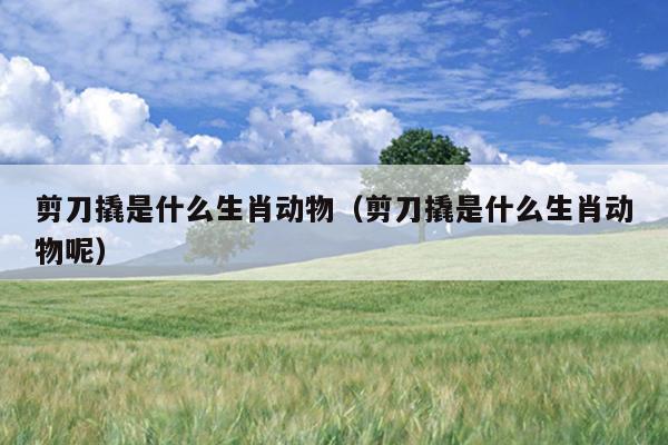剪刀撬是什么生肖动物（剪刀撬是什么生肖动物呢）