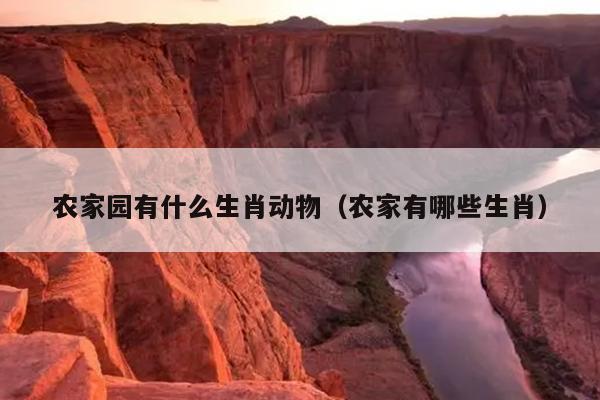 农家园有什么生肖动物（农家有哪些生肖）