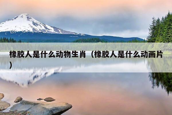 橡胶人是什么动物生肖（橡胶人是什么动画片）