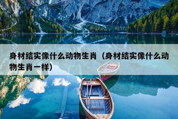 身材结实像什么动物生肖（身材结实像什么动物生肖一样）