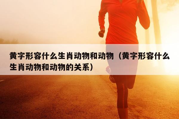 黄字形容什么生肖动物和动物（黄字形容什么生肖动物和动物的关系）