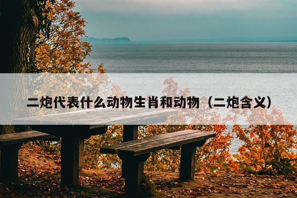 二炮代表什么动物生肖和动物（二炮含义）