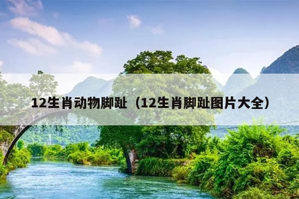12生肖动物脚趾（12生肖脚趾图片大全）