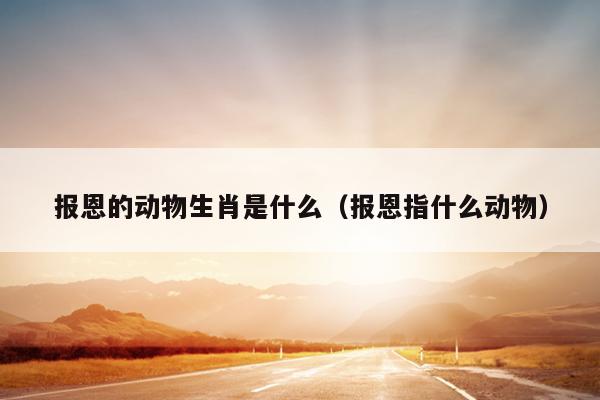 报恩的动物生肖是什么（报恩指什么动物）