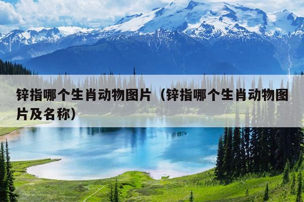 锌指哪个生肖动物图片（锌指哪个生肖动物图片及名称）