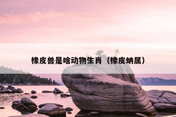 橡皮兽是啥动物生肖（橡皮蚺属）