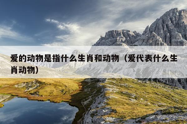 爱的动物是指什么生肖和动物（爱代表什么生肖动物）