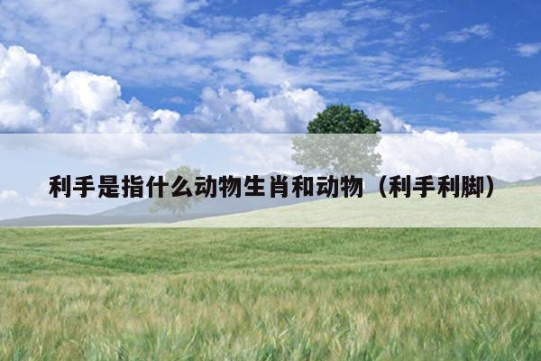 利手是指什么动物生肖和动物（利手利脚）