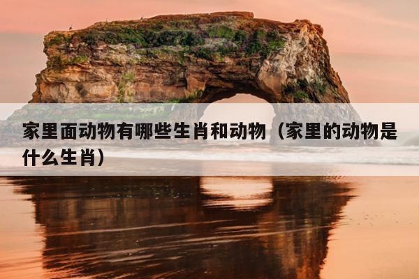家里面动物有哪些生肖和动物（家里的动物是什么生肖）