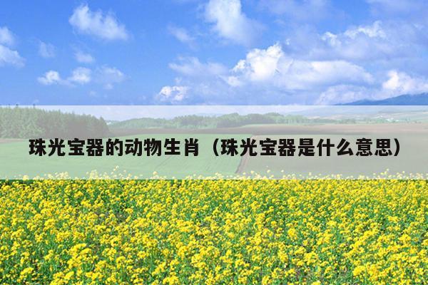 珠光宝器的动物生肖（珠光宝器是什么意思）