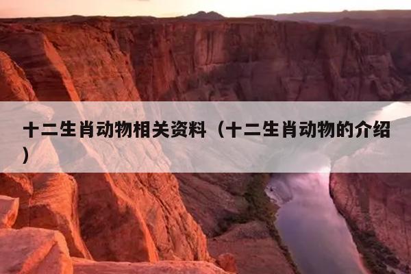 十二生肖动物相关资料（十二生肖动物的介绍）