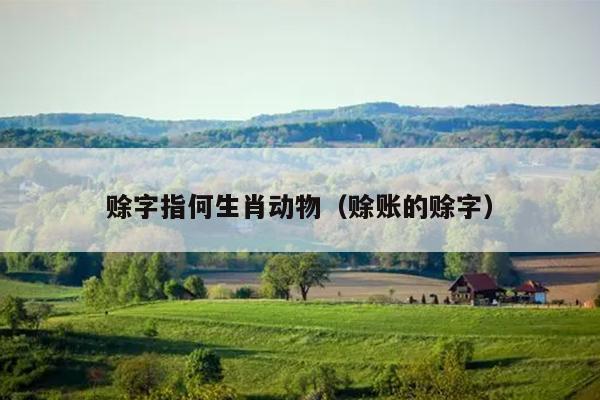 赊字指何生肖动物（赊账的赊字）