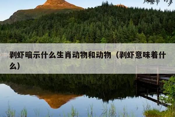 剥虾暗示什么生肖动物和动物（剥虾意味着什么）