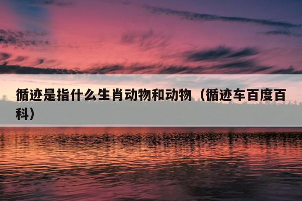 循迹是指什么生肖动物和动物（循迹车百度百科）