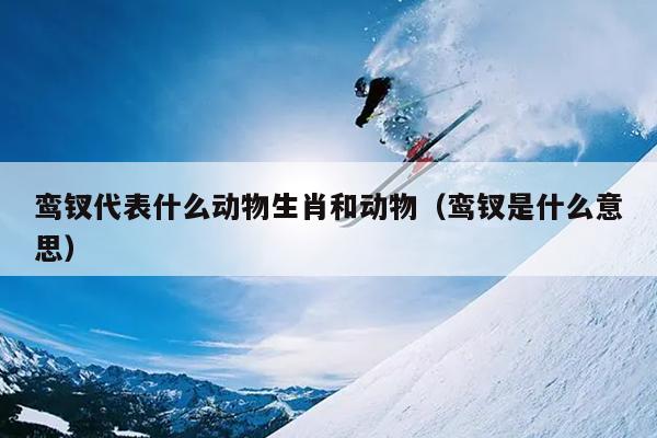 鸾钗代表什么动物生肖和动物（鸾钗是什么意思）